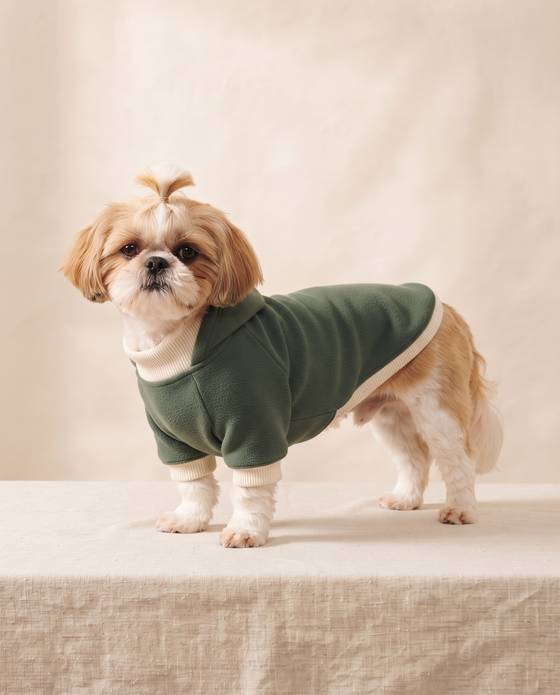 Shih Tzu in a forest green True to Breed hoodie